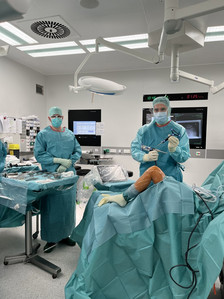 NDR-Visite-Sendung zum Knie