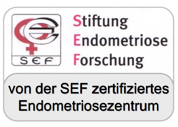 Stiftung Endometriose Forschung