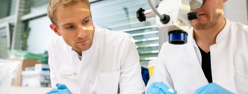 Lehre Chirurgiekurs Augenheilkunde